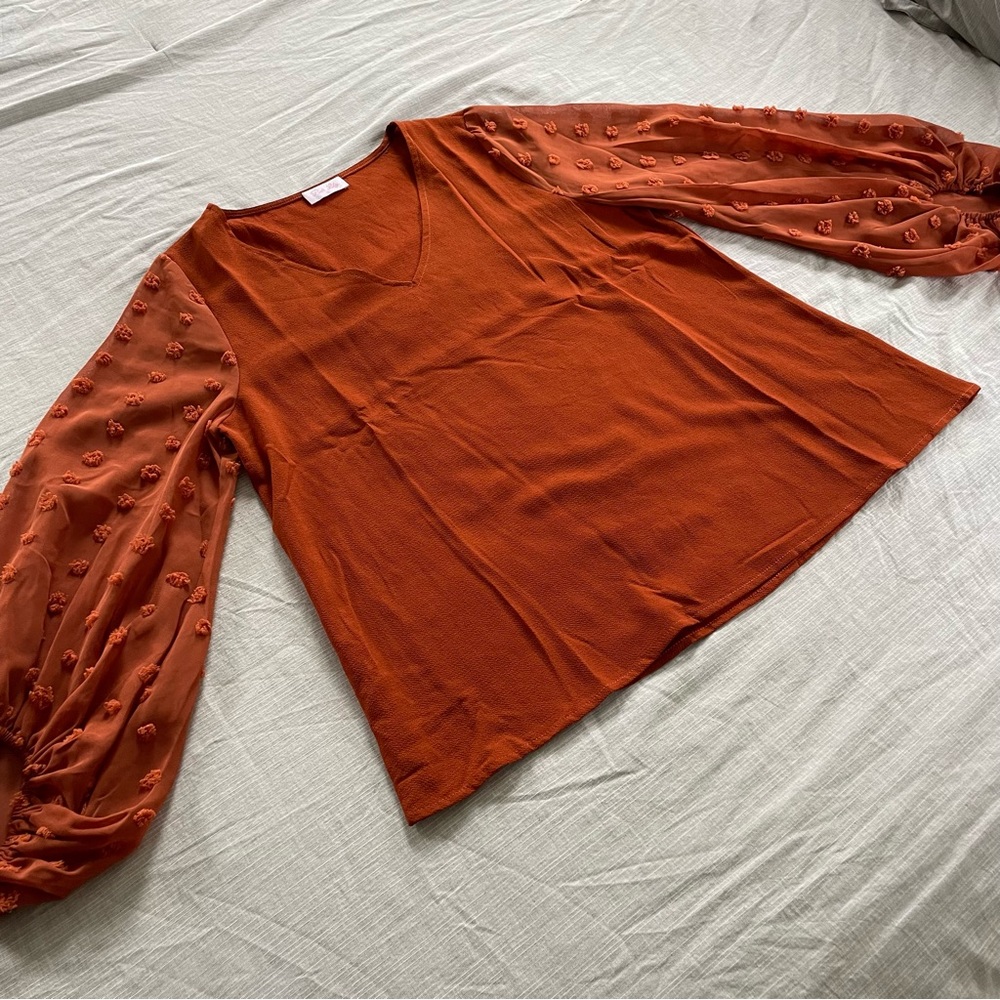 Rust Blouse - image 4